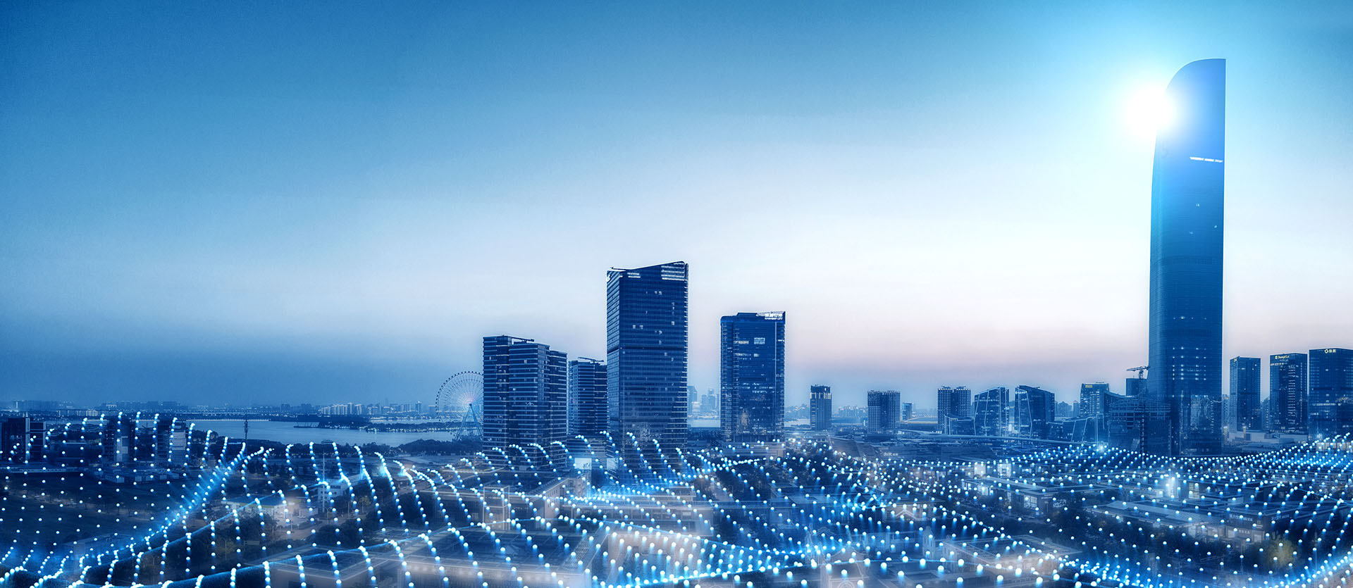 信息化解决方案专家